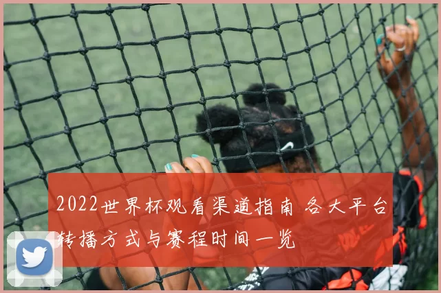 2022世界杯观看渠道指南 各大平台转播方式与赛程时间一览