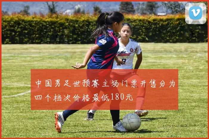 中国男足世预赛主场门票开售分为四个档次价格最低180元