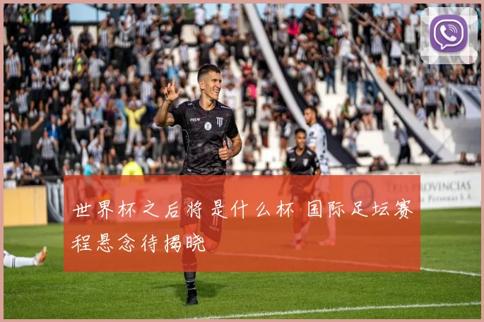 世界杯之后将是什么杯 国际足坛赛程悬念待揭晓